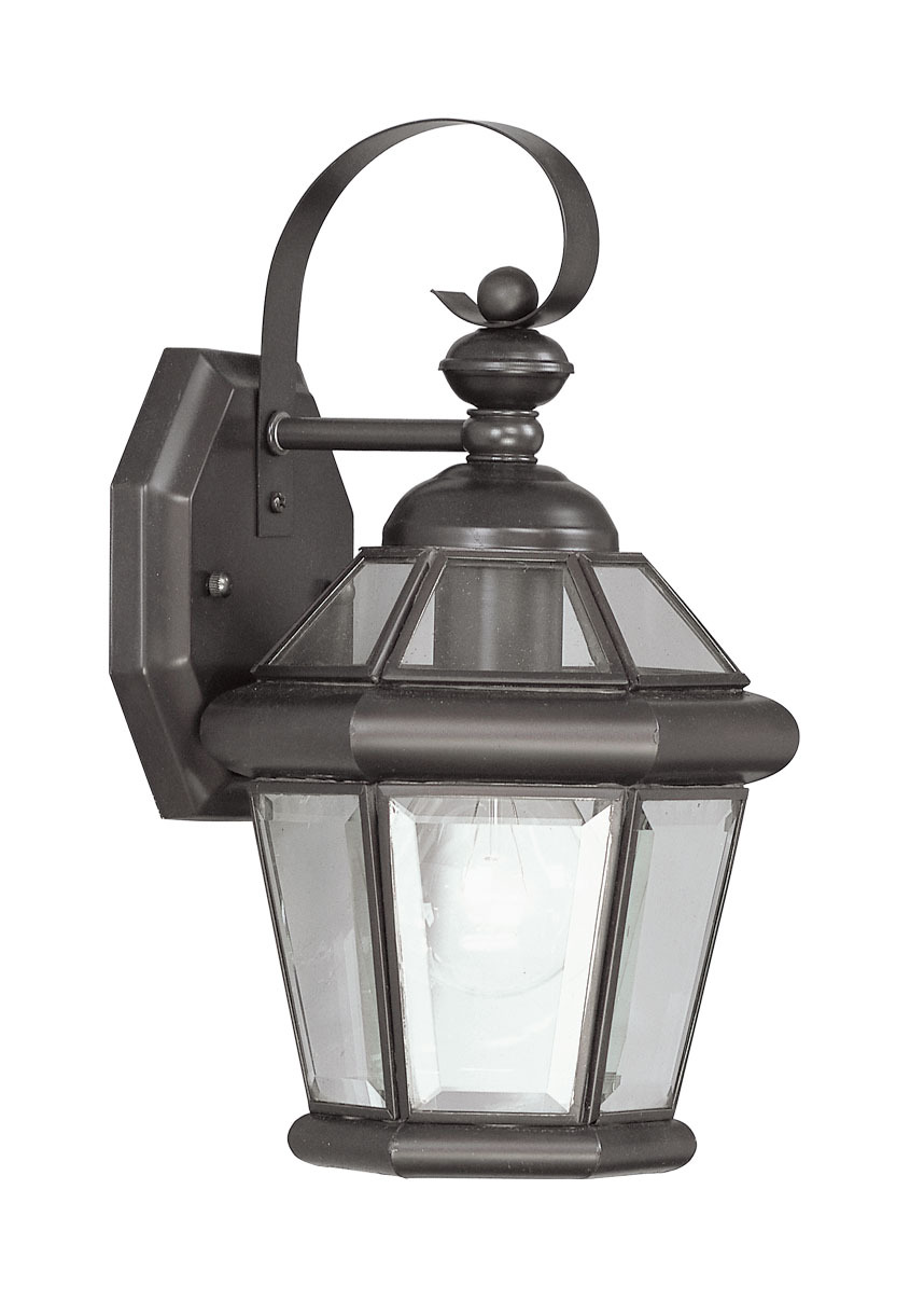 1 Light Bronze Outdoor Wall Lantern