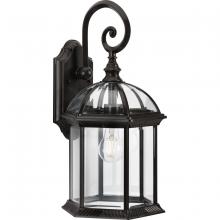 Progress P560323-020 - Dillard Collection One-Light Traditional Antique Bronze Clear Glass Outdoor Wall Lantern