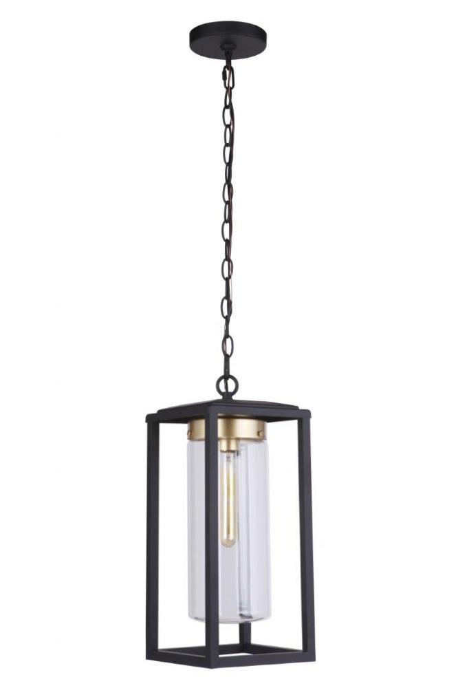 Neo 1 Light Outdoor Pendant in Midnight/Satin Brass