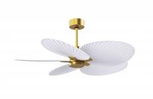 Matthews Fan Company AKTP-BRBR-MWH - Alessandra Tropical 5-blade ceiling fan in Brushed Brass and Matte White blades.