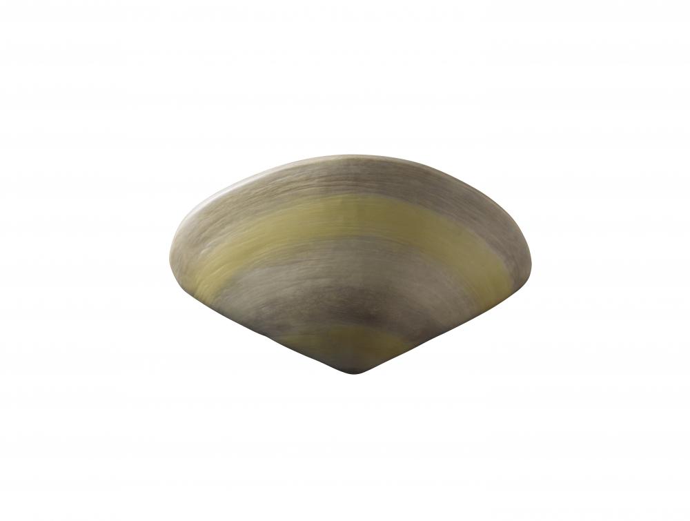 Clam Shell LED Wall Sconce