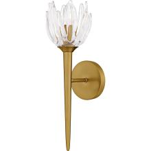 Quoizel SHA8806BRG - Shea 1-Light Brushed Gold Wall Sconce