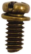 Westinghouse 7704700 - 10-Piece Motor Screw Kit Polished Brass Finish