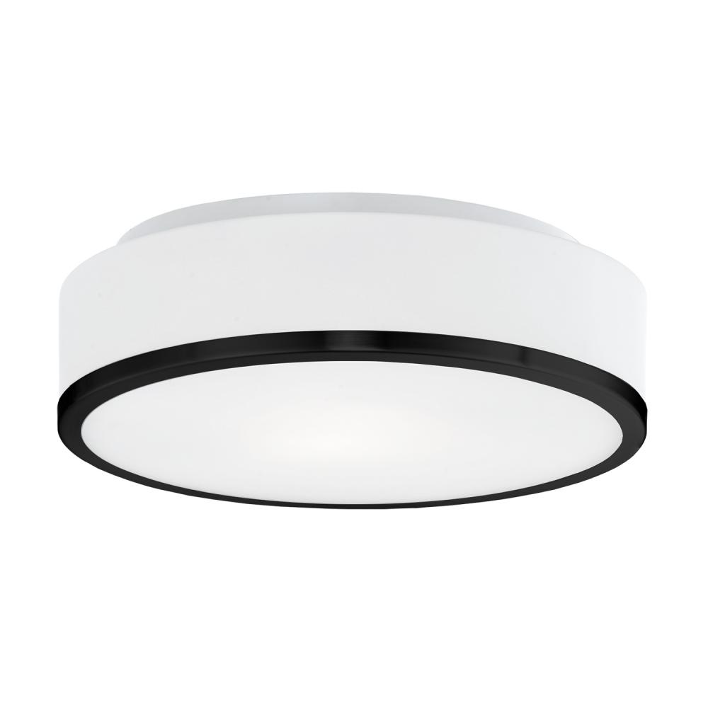 Charlie 12-in Black 2 Lights Flush Mount