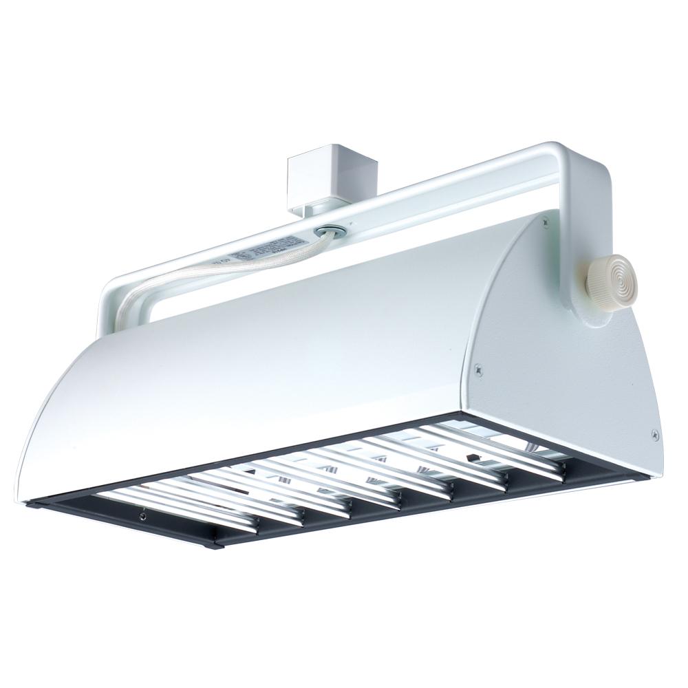 Compact Fluorescent Wall Washer With Louver Track Head