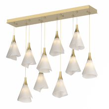 Hubbardton Forge 131202-SKT-STND-86-SH1987 - Mobius 10-Light Pendant