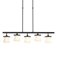 Hubbardton Forge 136605-SKT-LONG-10-GG0242 - Wren 5 Light Pendant