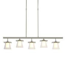 Hubbardton Forge 136605-SKT-STND-85-ZU0284 - Wren 5 Light Pendant