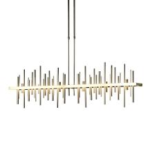 Hubbardton Forge 139726-LED-STND-86-84 - Cityscape Large LED Pendant