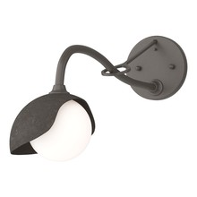 Hubbardton Forge 201376-SKT-07-07-GG0711 - Brooklyn 1-Light Single Shade Long-Arm Sconce