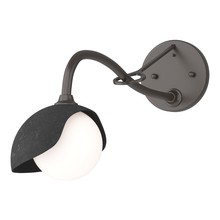 Hubbardton Forge 201376-SKT-14-10-GG0711 - Brooklyn 1-Light Single Shade Long-Arm Sconce