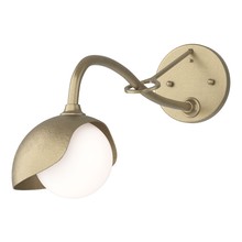 Hubbardton Forge 201376-SKT-84-84-GG0711 - Brooklyn 1-Light Single Shade Long-Arm Sconce