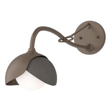 Hubbardton Forge 201377-SKT-05-07-GG0711 - Brooklyn 1-Light Double Shade Long-Arm Sconce