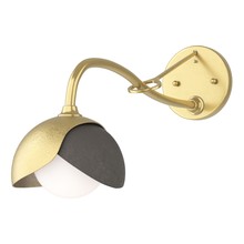 Hubbardton Forge 201377-SKT-86-07-GG0711 - Brooklyn 1-Light Double Shade Long-Arm Sconce