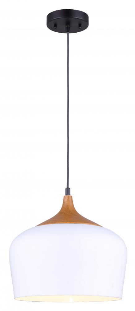 Raphael 1 Light Pendant, White Finish