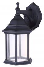 Canarm LOL336BK - Dane 1 Light Outdoor Lantern, Black Finish