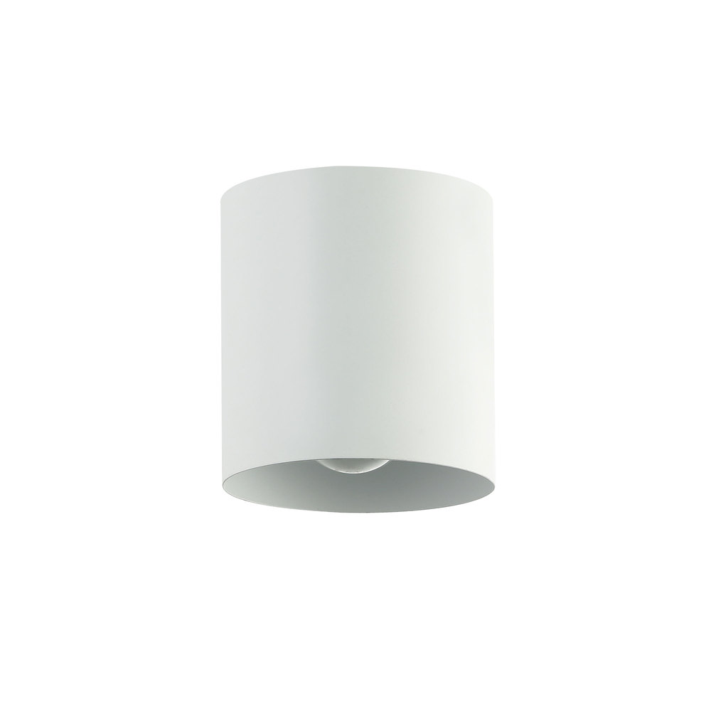 1LT Flush Mount,  MW