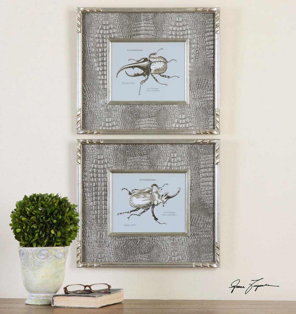 Bug Study Framed Art, S/2