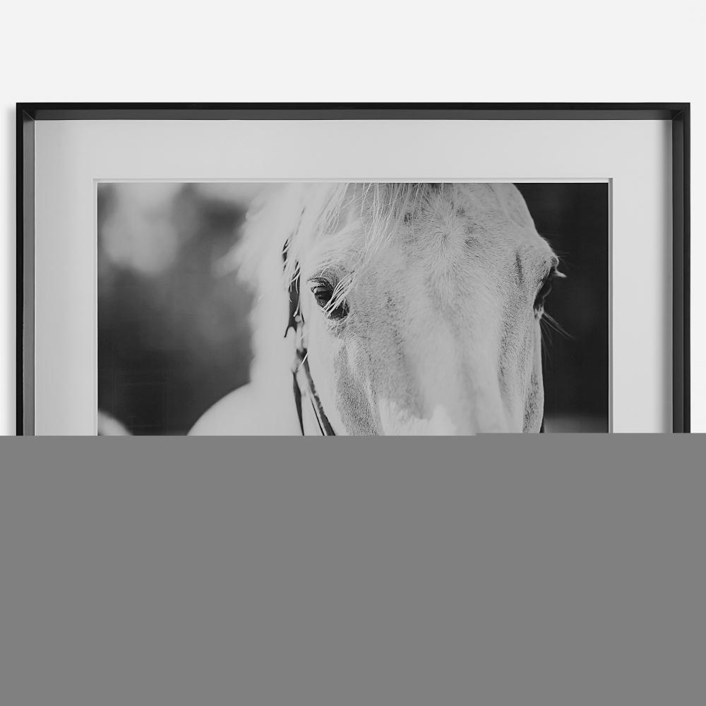 Eyes On The Prize Framed Print